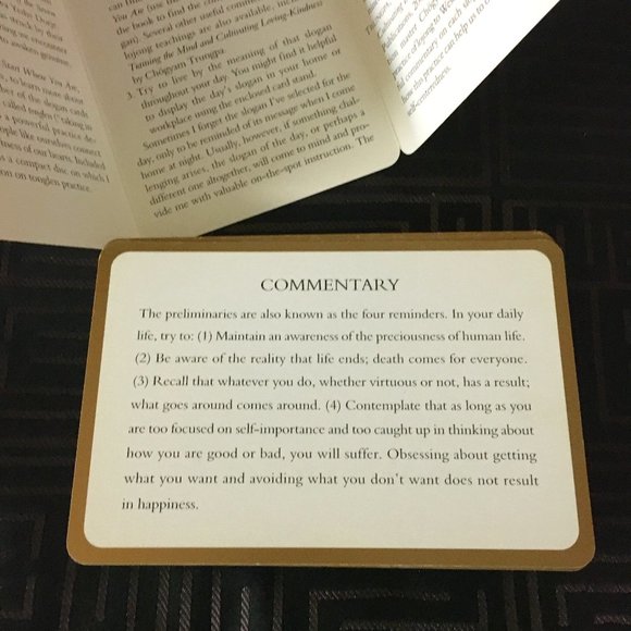 Lojong Cards By Pema Chödrön - Picture 5 of 8